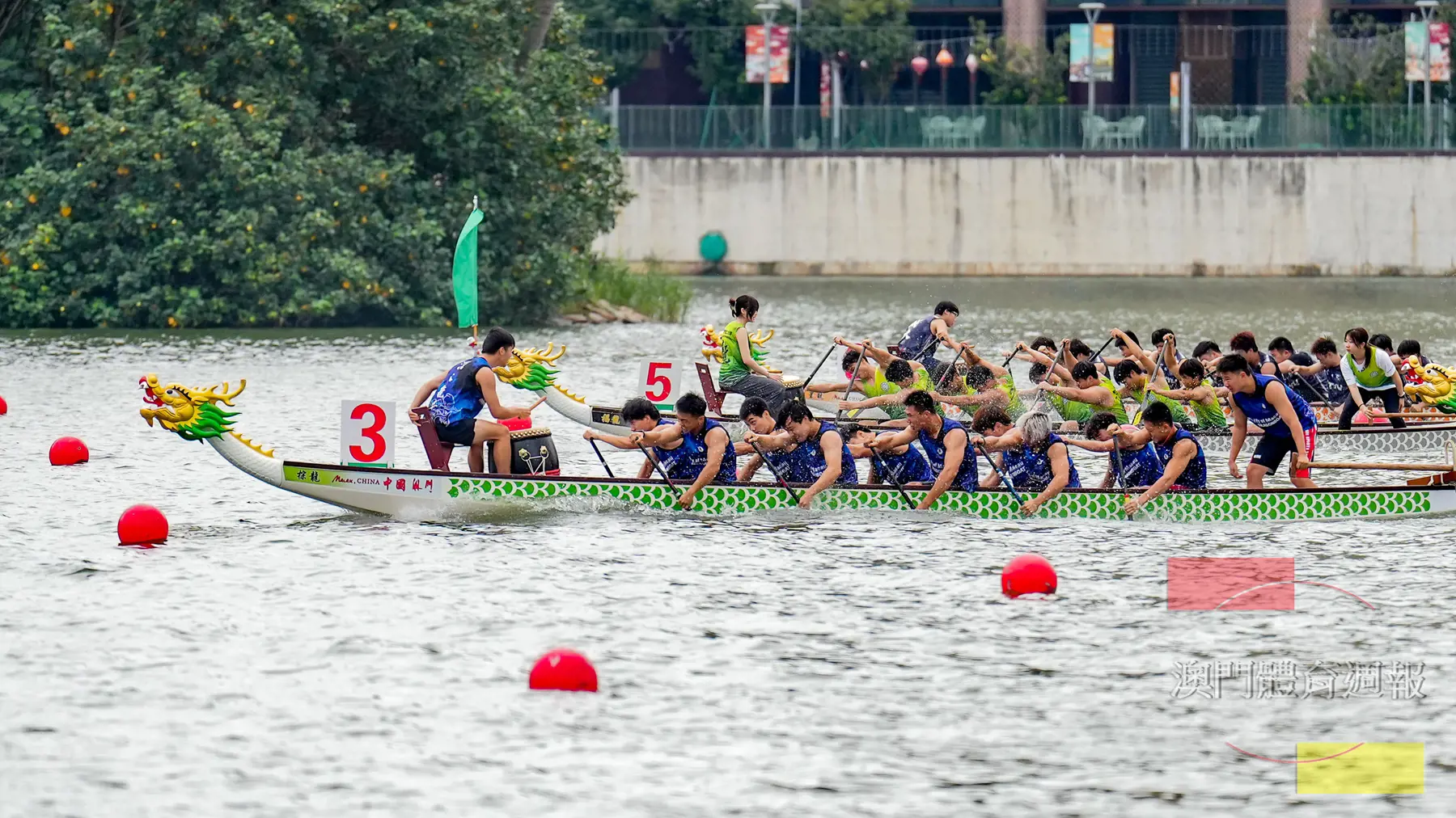 副2 澳大在二百米24U決賽划進50秒內奪冠.jpg